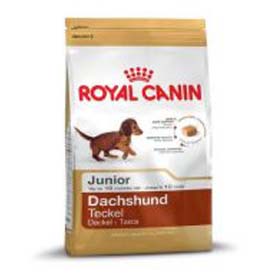 ROYAL CANIN DACHSHUND JUNIOR  3KG.