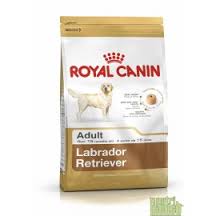 ROYAL CANIN LABRADOR RETRIEVER 30 ADULT  12KG.