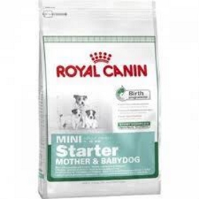 ROYAL CANIN MINI STARTER 3 KG