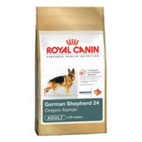 ROYAL CANIN GERMAN SHEPHERD 24 PASTOR ALEMAN ADULT  12KG.