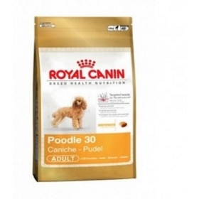 ROYAL CANIN POODLE 30 CANICHE ADULT 7,5 KG