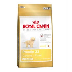 ROYAL CANIN POODLE 33 CANICHE JUNIOR 2.5 KG