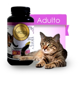 VITO SUPLEMENTO PROTEICO GATO ADULTO