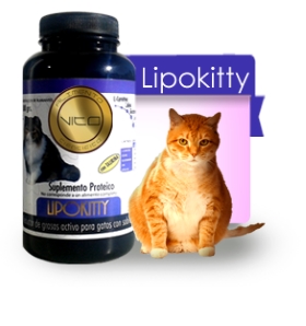 VITO SUPLEMENTO PROTEICO GATO LIPO KITTY