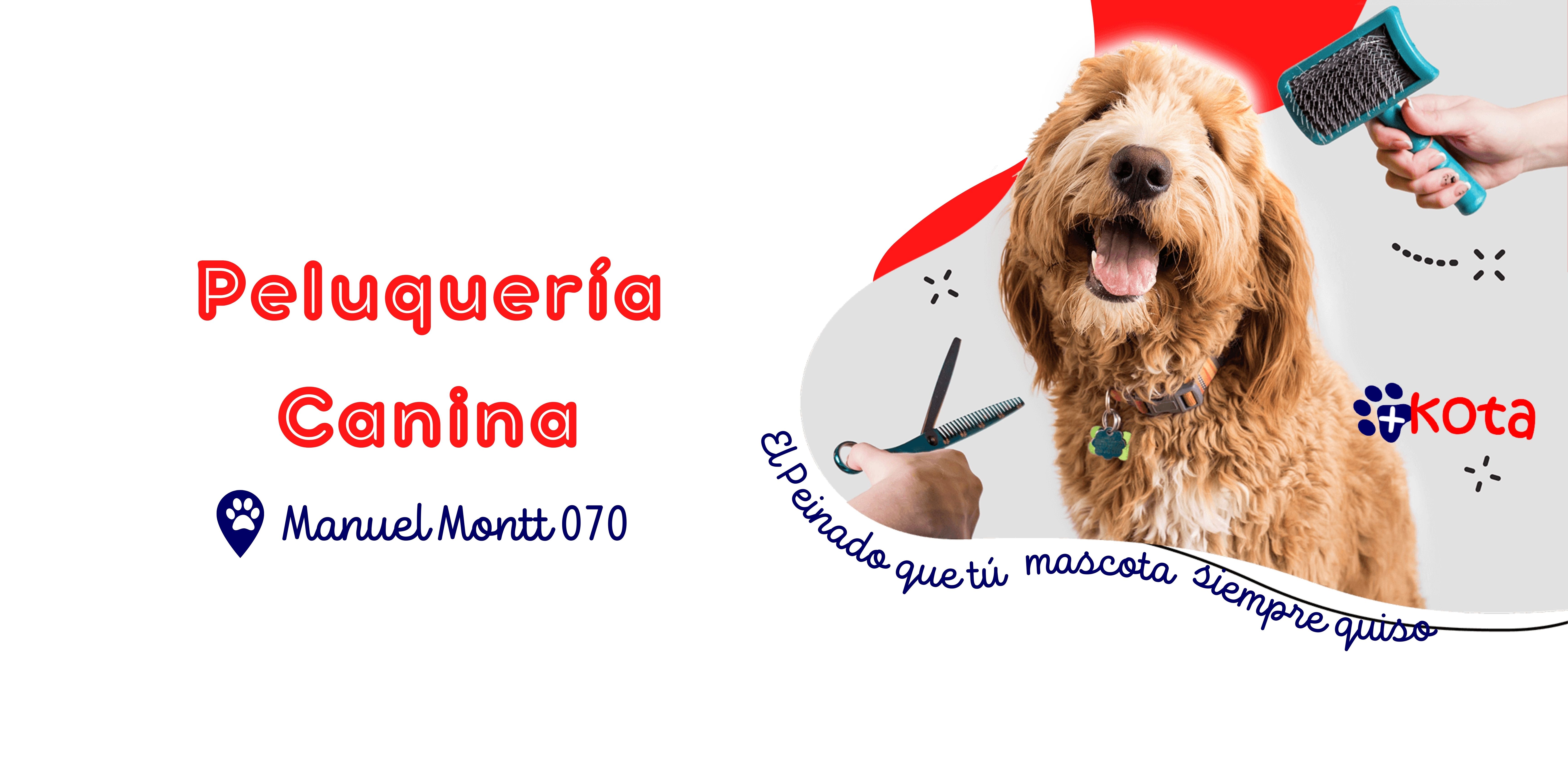 Tienda de mascotas en Providencia